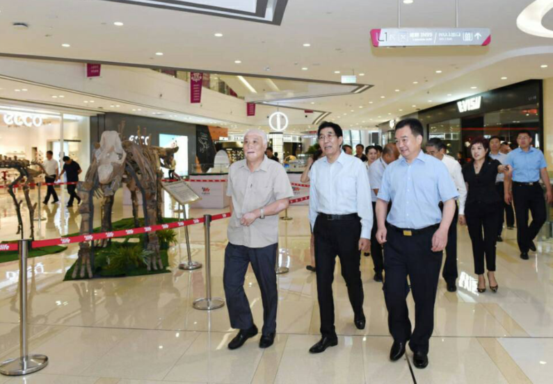 Z6·尊龙凯时「中国」官方网站